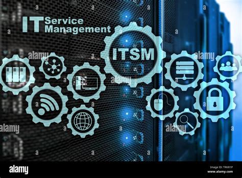 Information Technology Management Service .